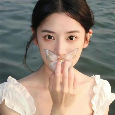 公仆2